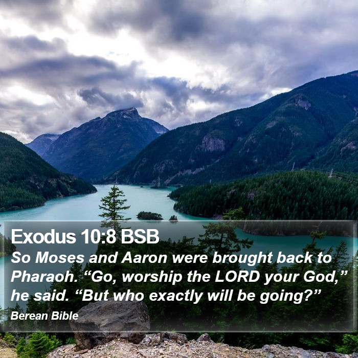 Exodus 10:8 BSB Bible Study