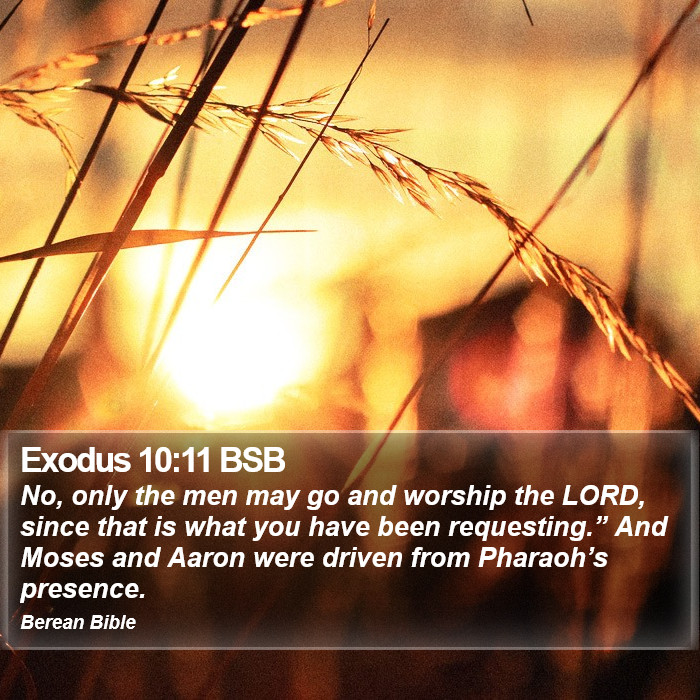 Exodus 10:11 BSB Bible Study