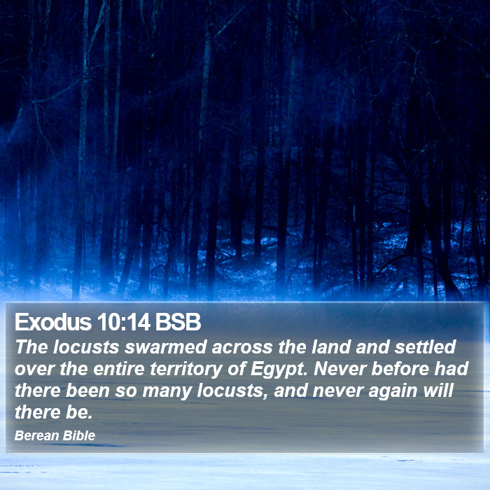 Exodus 10:14 BSB Bible Study