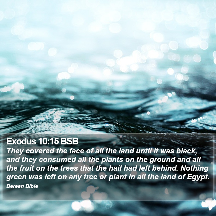 Exodus 10:15 BSB Bible Study