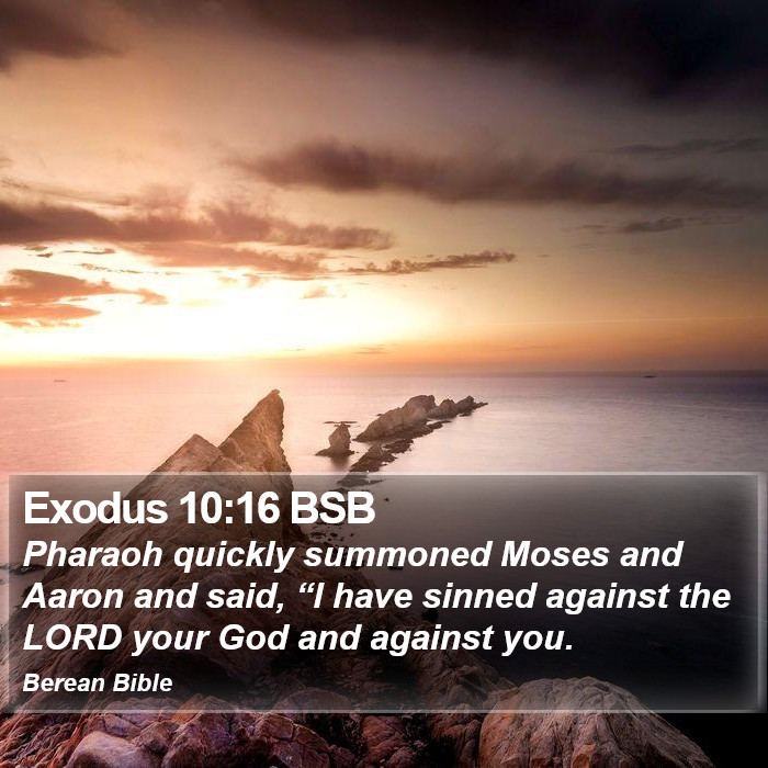 Exodus 10:16 BSB Bible Study