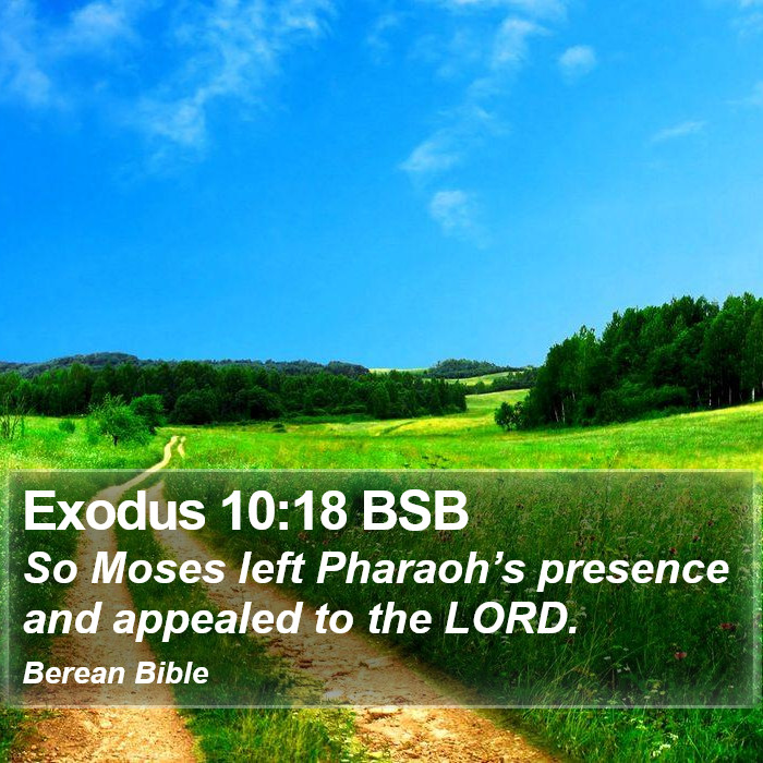 Exodus 10:18 BSB Bible Study