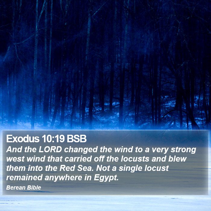 Exodus 10:19 BSB Bible Study