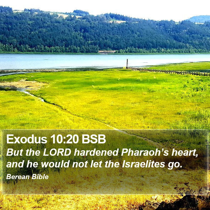 Exodus 10:20 BSB Bible Study