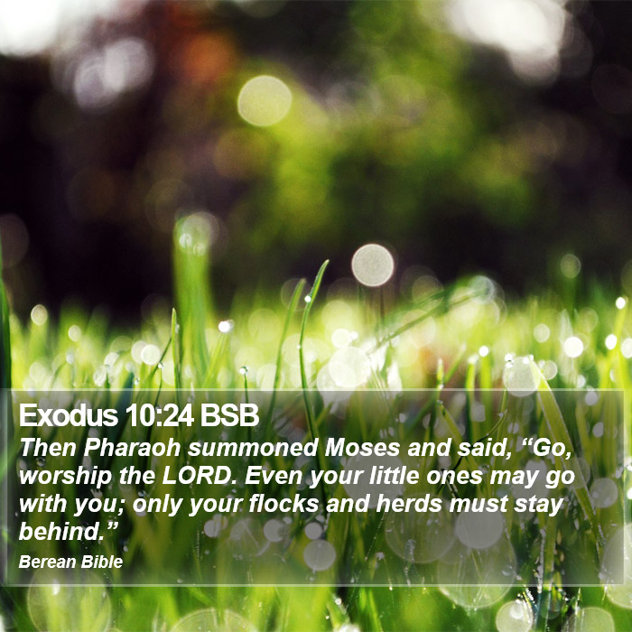 Exodus 10:24 BSB Bible Study