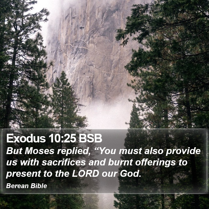 Exodus 10:25 BSB Bible Study