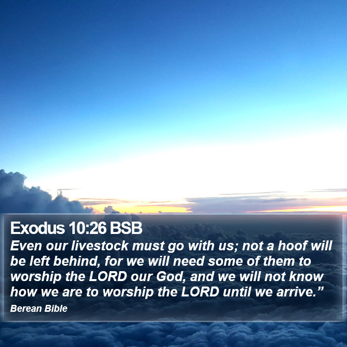 Exodus 10:26 BSB Bible Study