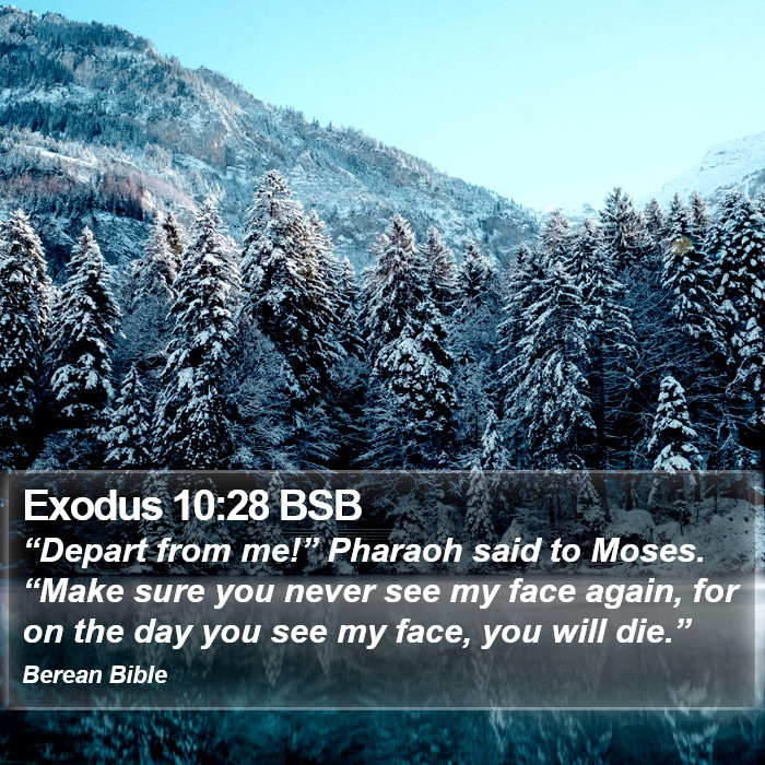 Exodus 10:28 BSB Bible Study