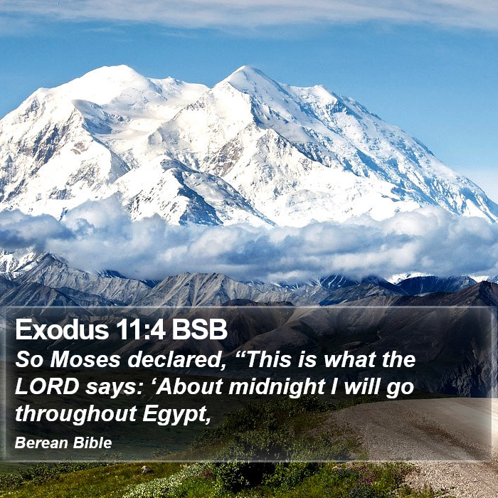 Exodus 11:4 BSB Bible Study