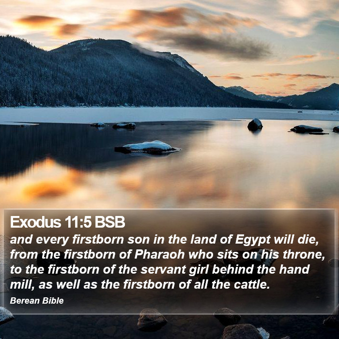 Exodus 11:5 BSB Bible Study