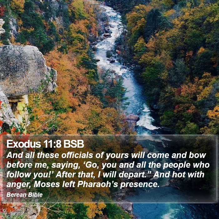 Exodus 11:8 BSB Bible Study