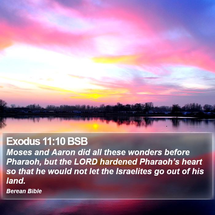 Exodus 11:10 BSB Bible Study