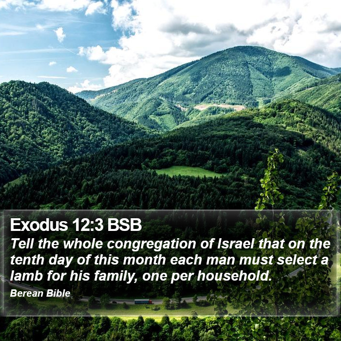 Exodus 12:3 BSB Bible Study