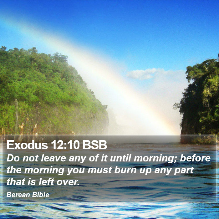 Exodus 12:10 BSB Bible Study