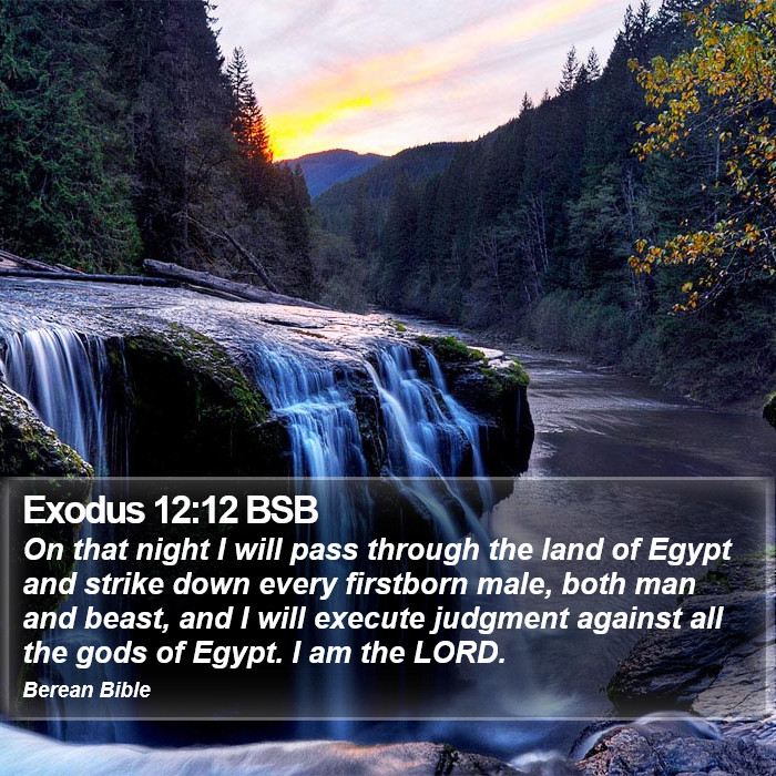 Exodus 12:12 BSB Bible Study