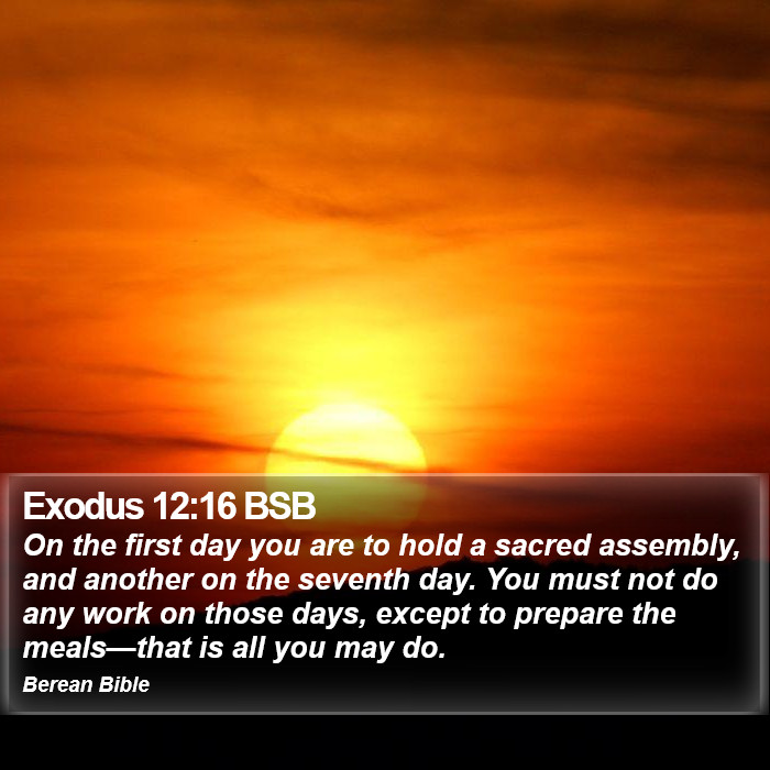 Exodus 12:16 BSB Bible Study