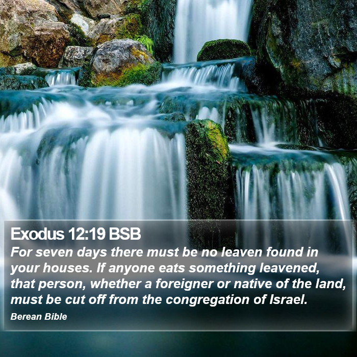 Exodus 12:19 BSB Bible Study