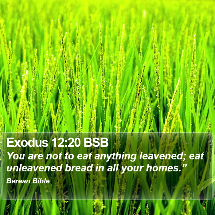 Exodus 12:20 BSB Bible Study