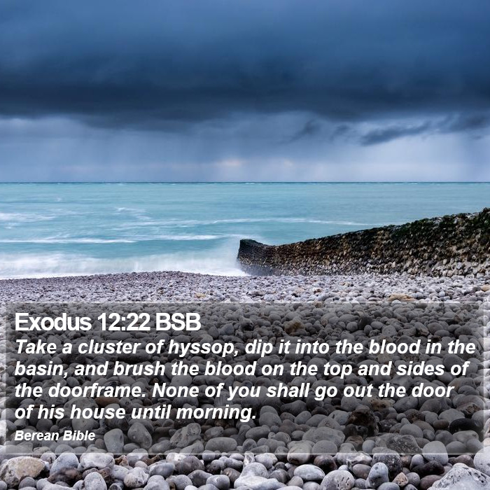 Exodus 12:22 BSB Bible Study