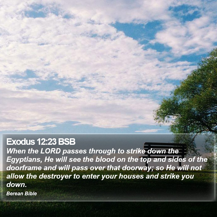 Exodus 12:23 BSB Bible Study