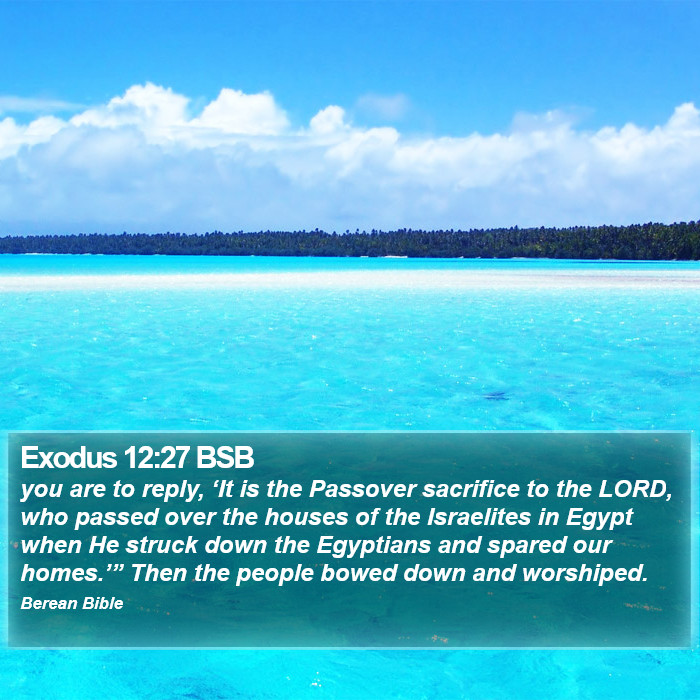 Exodus 12:27 BSB Bible Study