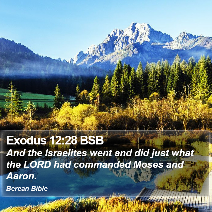 Exodus 12:28 BSB Bible Study