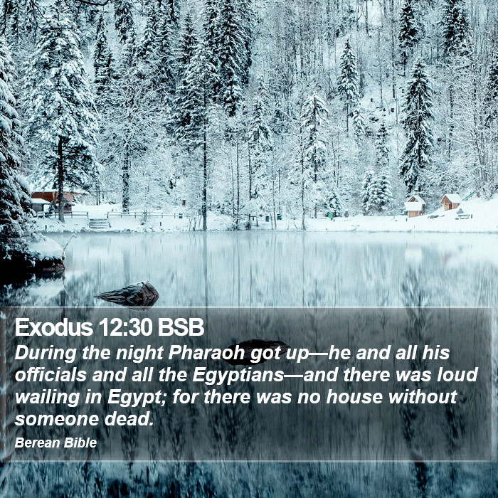 Exodus 12:30 BSB Bible Study