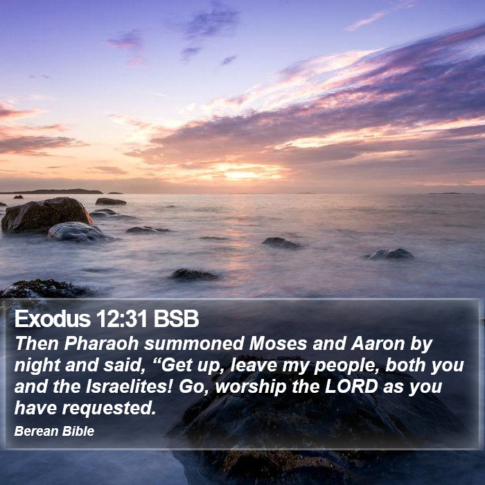 Exodus 12:31 BSB Bible Study