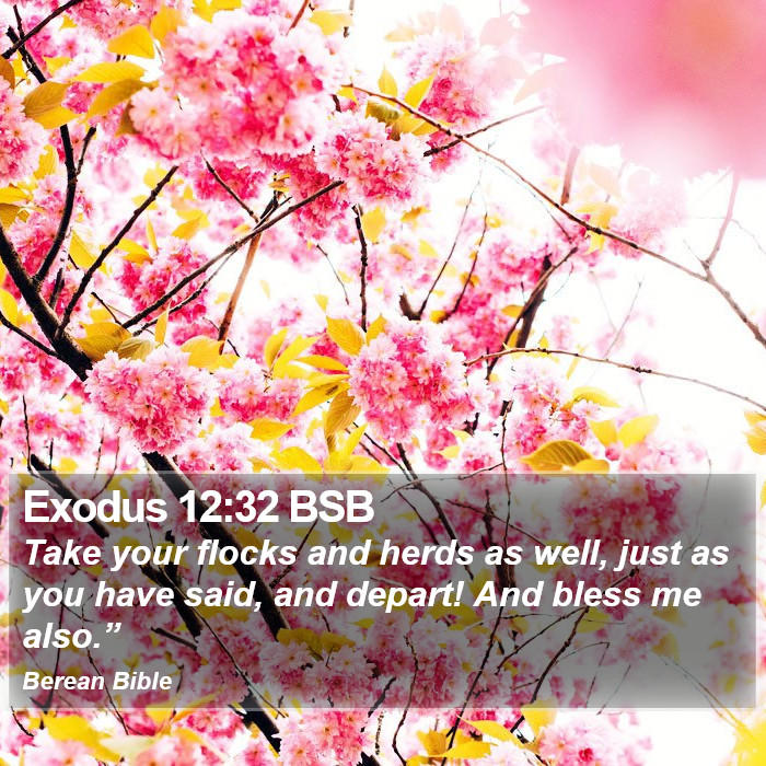 Exodus 12:32 BSB Bible Study