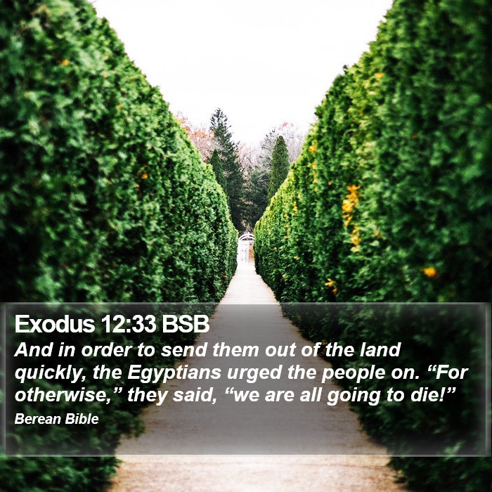 Exodus 12:33 BSB Bible Study