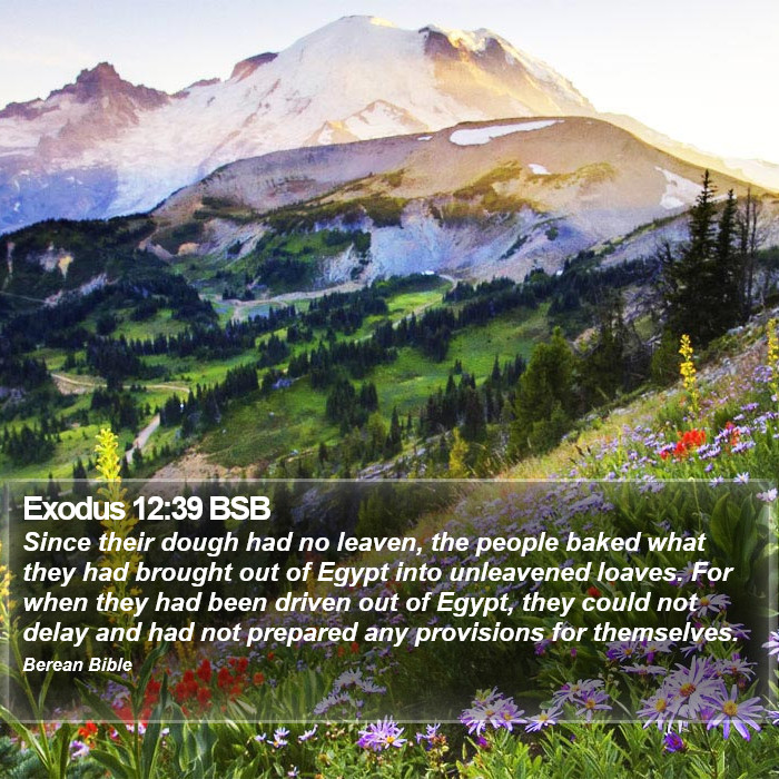 Exodus 12:39 BSB Bible Study