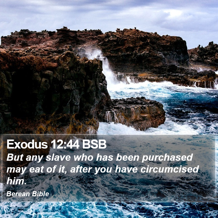 Exodus 12:44 BSB Bible Study