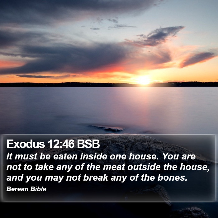 Exodus 12:46 BSB Bible Study