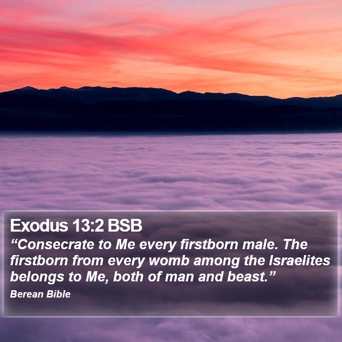 Exodus 13:2 BSB Bible Study