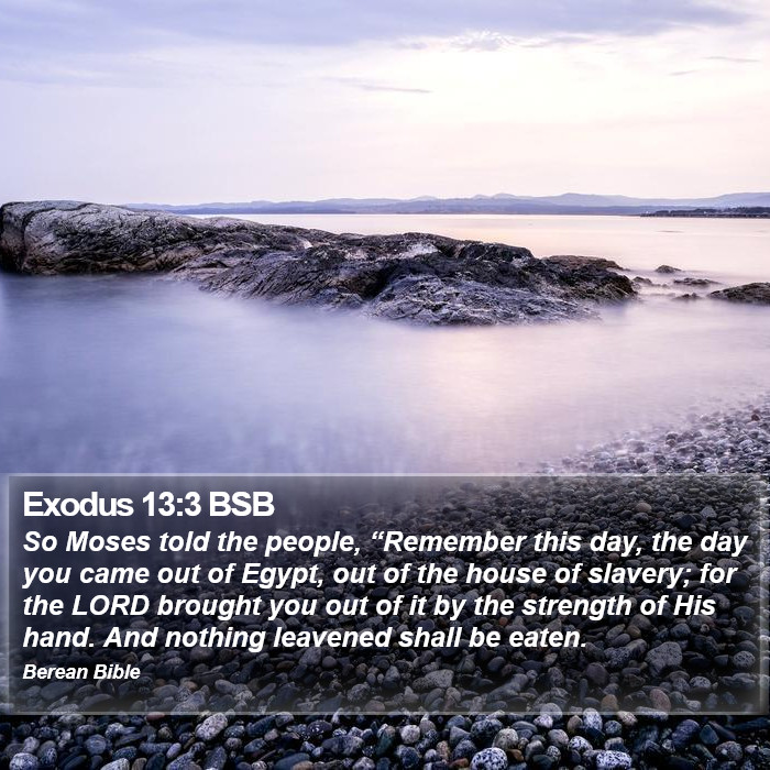 Exodus 13:3 BSB Bible Study