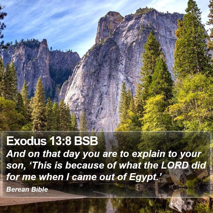 Exodus 13:8 BSB Bible Study