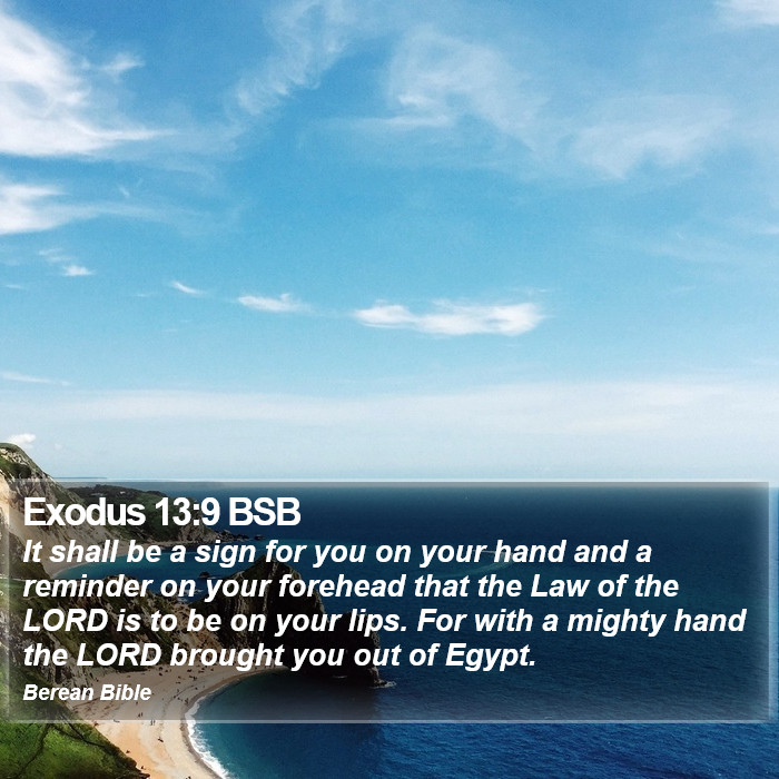 Exodus 13:9 BSB Bible Study