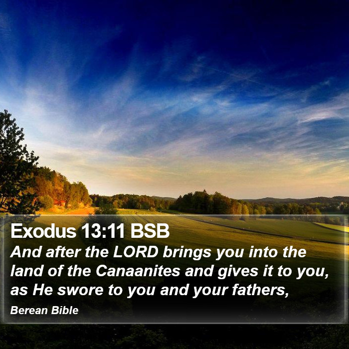 Exodus 13:11 BSB Bible Study