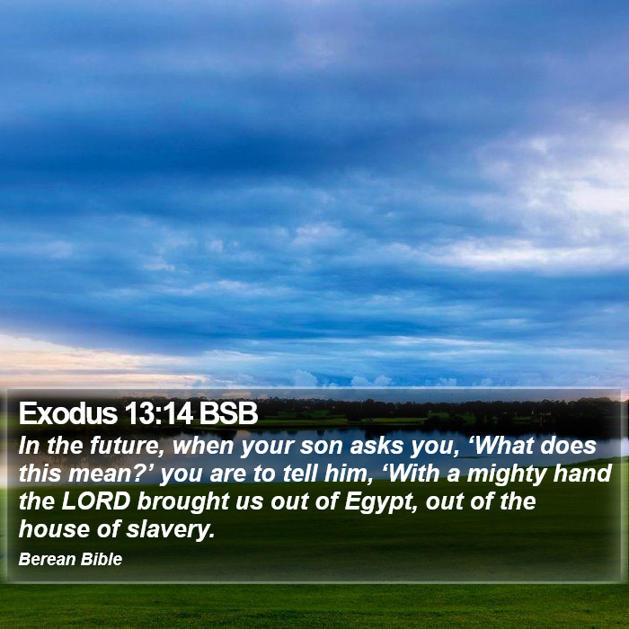 Exodus 13:14 BSB Bible Study