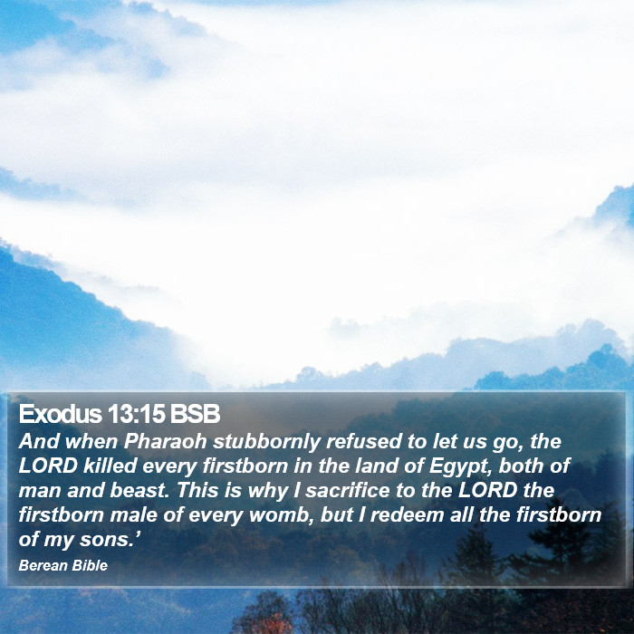 Exodus 13:15 BSB Bible Study