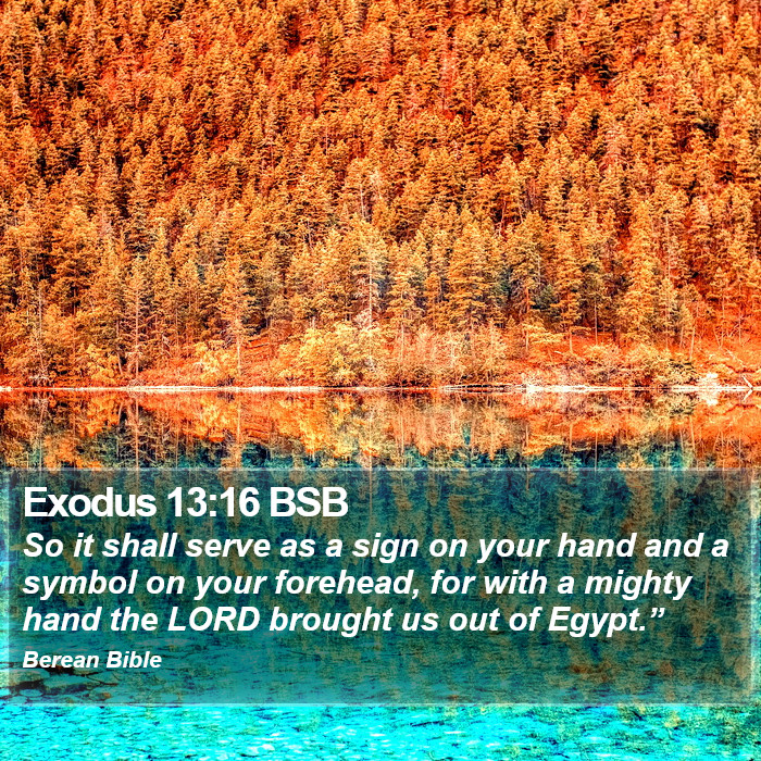 Exodus 13:16 BSB Bible Study