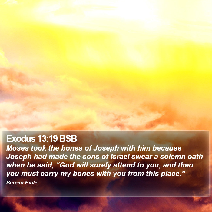 Exodus 13:19 BSB Bible Study