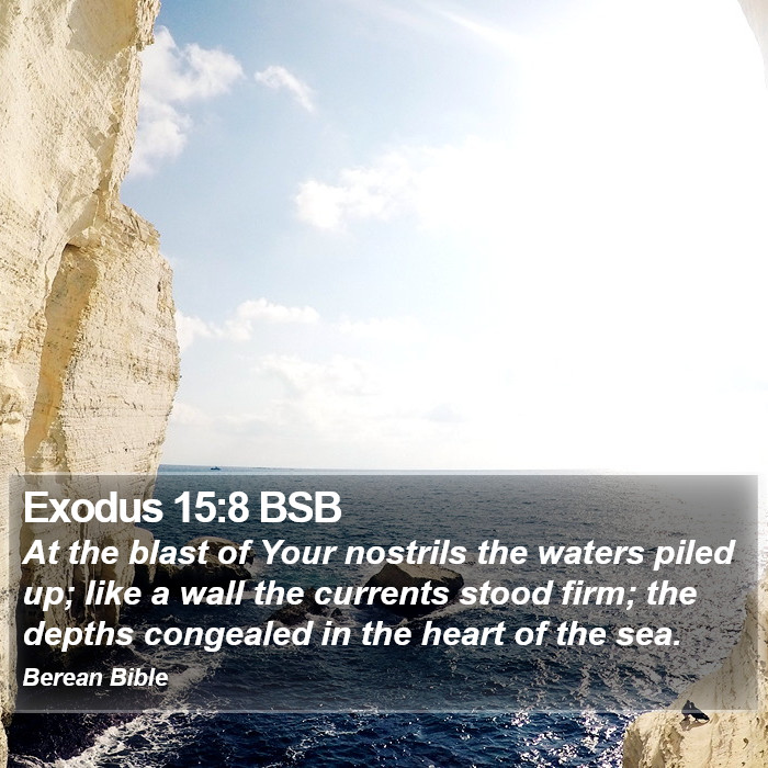 Exodus 15:8 BSB Bible Study