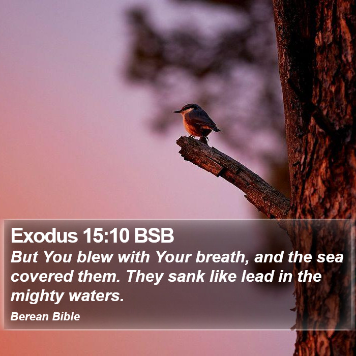 Exodus 15:10 BSB Bible Study