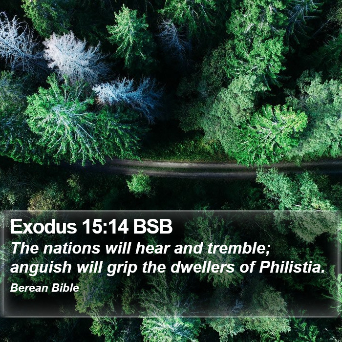 Exodus 15:14 BSB Bible Study