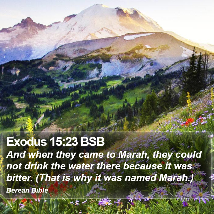 Exodus 15:23 BSB Bible Study