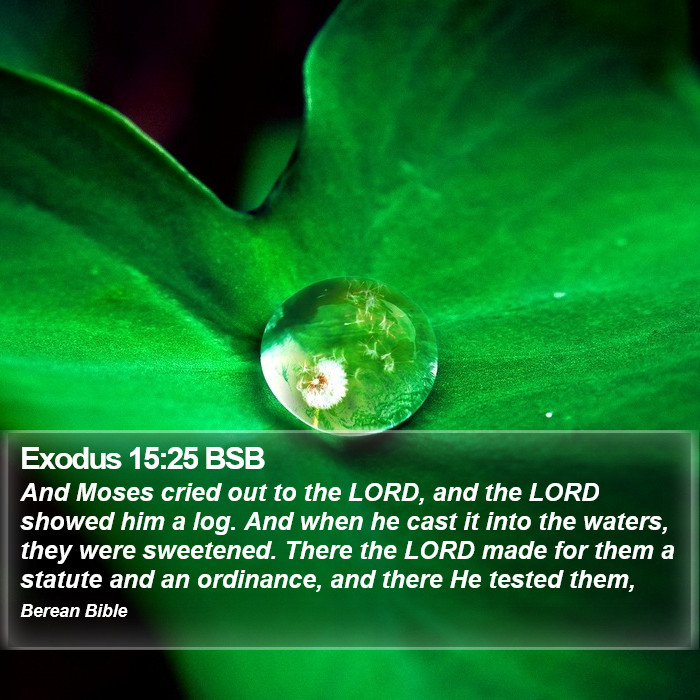 Exodus 15:25 BSB Bible Study