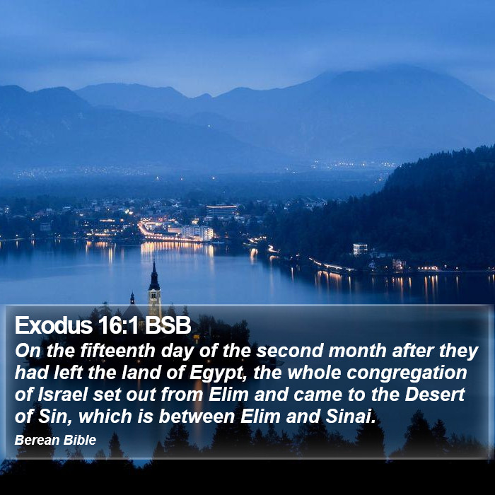 Exodus 16:1 BSB Bible Study