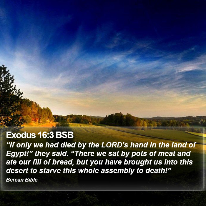 Exodus 16:3 BSB Bible Study