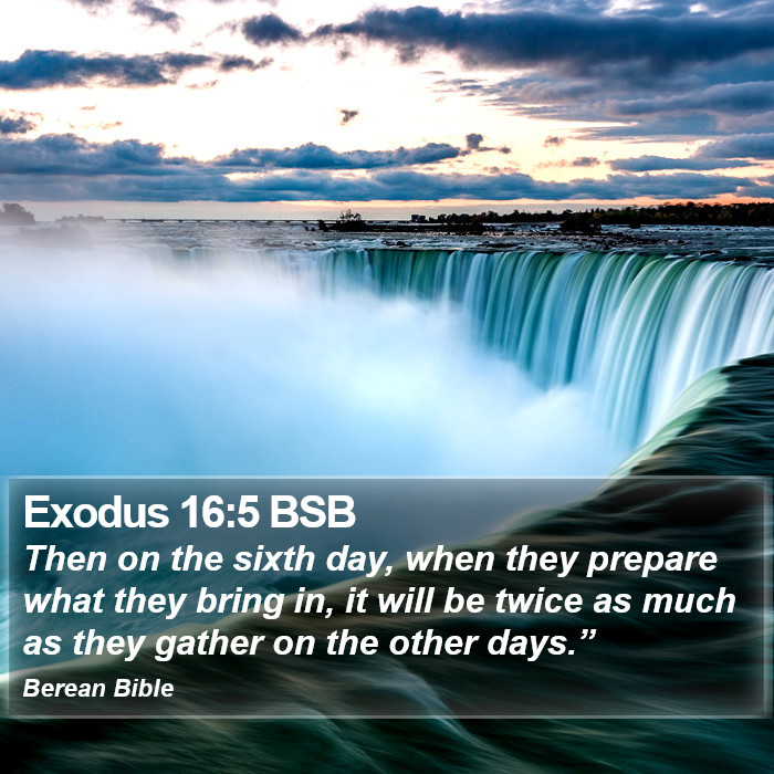 Exodus 16:5 BSB Bible Study